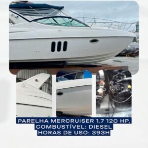 PHANTOM 290  (COTA DE 50%)